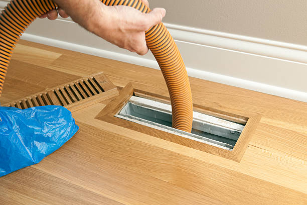 Best Affordable Duct Cleaning Services  in Magnolia Springs, AL