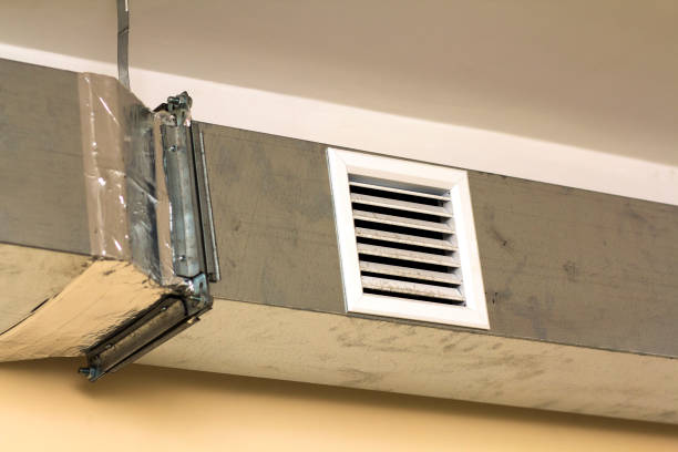 Best Affordable Air Duct Cleaning  in Magnolia Springs, AL